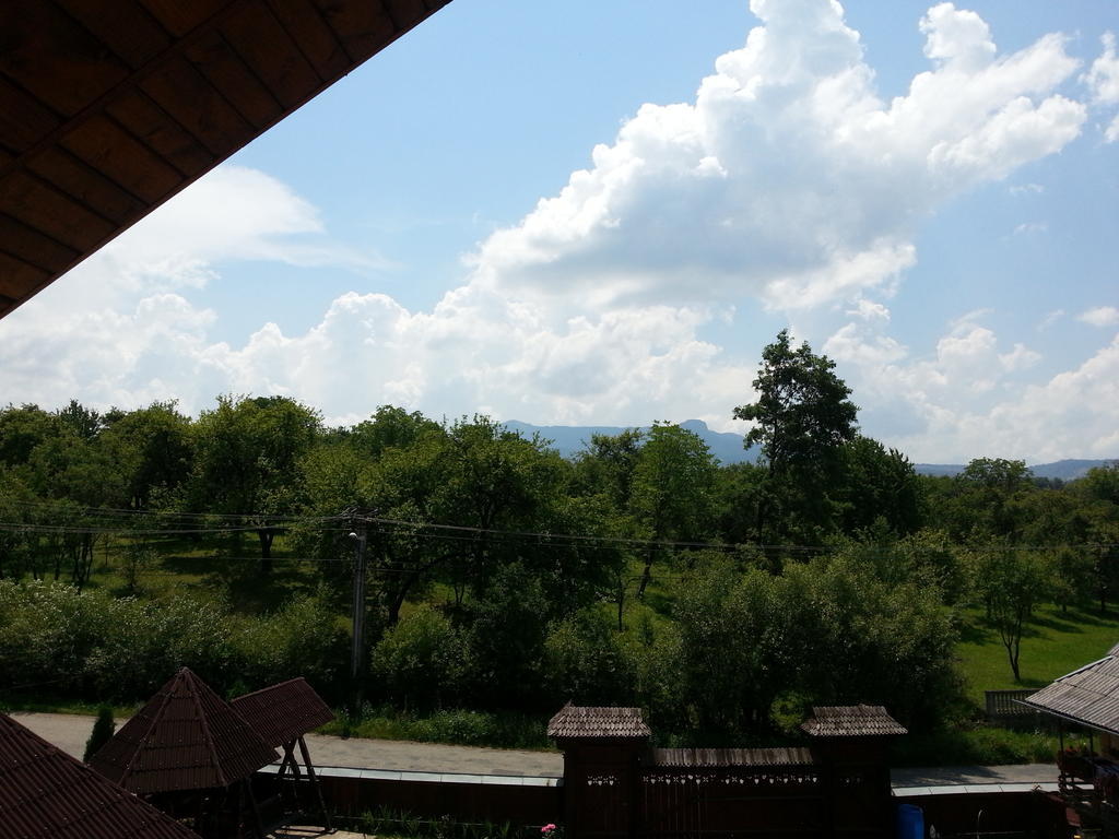 Pensiunea Maramures Ocna Şugatag Dış mekan fotoğraf