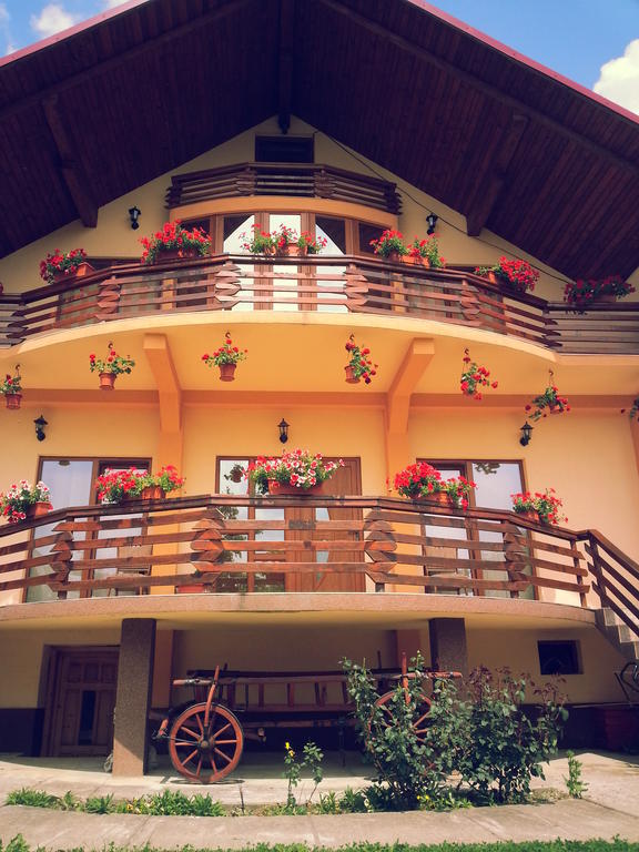Pensiunea Maramures Ocna Şugatag Dış mekan fotoğraf