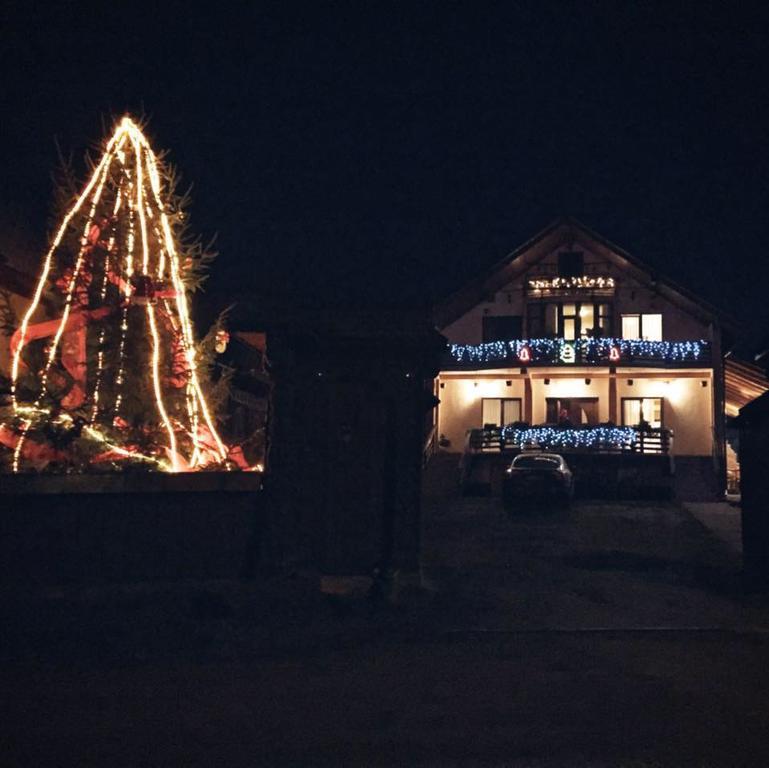 Pensiunea Maramures Ocna Şugatag Dış mekan fotoğraf