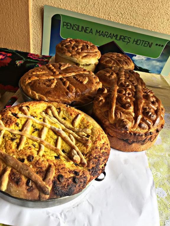 Pensiunea Maramures Ocna Şugatag Dış mekan fotoğraf