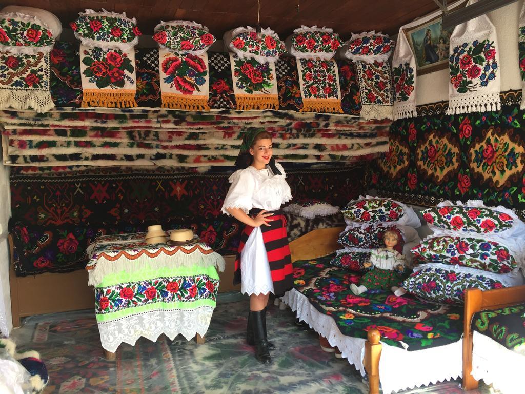 Pensiunea Maramures Ocna Şugatag Dış mekan fotoğraf